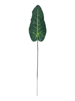 Лист Філодендрону на ніжці, темно-зелений з салатовим, висота 570 мм
