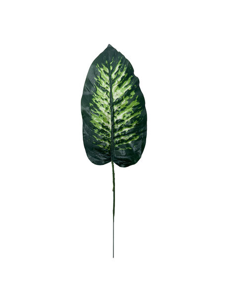 Лист Диффенбахії на ніжці, темно-зелений з салатовим, висота 420 мм