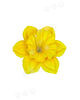 Штучні квіти Нарциса з тичинкою, мікс, 150 мм
