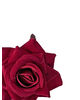 Искусственные цветы Роза открытая, бархат, 70 мм
