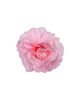 Искусственные цветы Роза пионовидная, шелк, 120 мм
