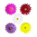 Штучні квіти Айстри, атлас, мікс, 210 мм
