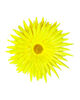 Штучні квіти Айстри, атлас, мікс, 210 мм