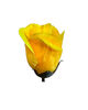 Искусственные цветы Розы, атлас, микс, высота 85 мм