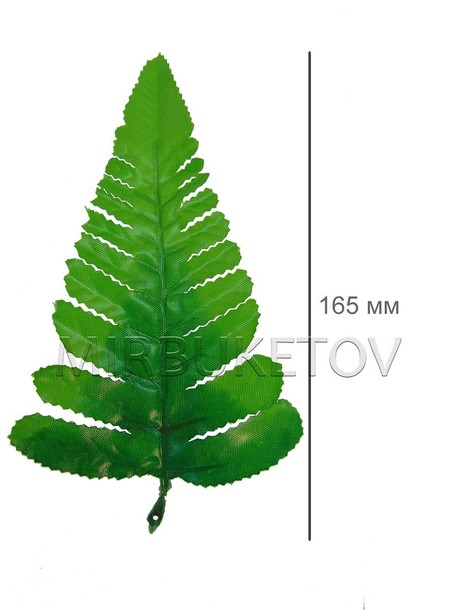 Лист папороті одиночний великий, зелений з темним, 165 мм