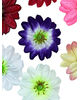 Искусственные цветы Крокуса, атлас, микс, 130 мм