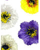 Штучні квіти Мака, атлас, мікс, 100 мм