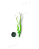 Тычинка для цветов, зеленая с белым, 65 мм