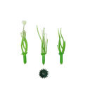 Тычинка для цветов, зеленая с белым, 50-65 мм
