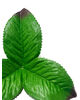 Искусственный лист подставка тройной, зеленый с коричневым краем, 150 мм