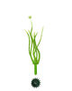 Тичинка для квітів, 7 ниток, зелена з білим, 110 мм