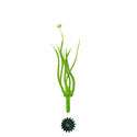 Тычинка для цветов, 7 нитей, зеленая с белым, 100 мм