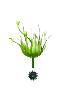 Тичинка для квітів "Вогонь", зелена, висота 75 мм, діаметр 40 мм