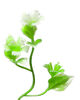 Добавка пластикова Гілка з листочками та квітками, зелена з білим, 120 мм