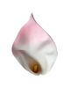 Искусственные цветы Калла латекс, 190 мм