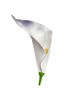 Штучні квіти Калла латекс, 190 мм