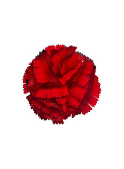 Искусственные цветы гвоздики, бархат, красная с кантом, 110 мм