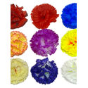 Штучні квіти Гвоздика, шовк, різнокольорова, 100 мм