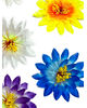 Штучні квіти Крокуса, атлас, мікс, 110 мм