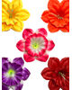 Искусственные Пресс цветы Нарцисс с тычинкой, атлас улучшенного качества, 150 мм