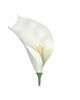 Искусственные цветы Калла латекс, 190 мм