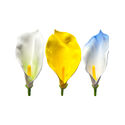 Штучні квіти Калла латекс, 130 мм