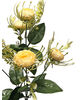 Искусственные цветы букет Пионов, 5 голов, 380 мм