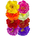 Штучні квіти Піона, шовк, мікс, 160 мм