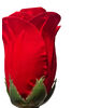 Штучні квіти Троянда бутон, оксамит, червоний, 85 мм