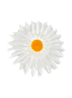 Штучні квіти Гербери, атлас, білий, 160 мм
