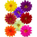 Штучні квіти Крокуса, шовк, мікс, 120 мм