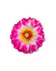 Штучні квіти Жоржина, шовк, мікс, 180 мм