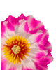 Искусственные цветы Георгина, шелк, микс, 180 мм