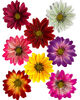 Искусственные цветы Герберы "Собери сам", микс, шелк, 145 мм