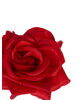 Искусственные цветы Розы острой, шелк, мікс, 110 мм