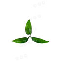 Искусственный лист, 3 листа на ветке, зеленый, 190 мм