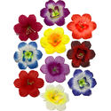 Штучні Прес квіти з тичинкою та вставкою Мальва, 120 мм