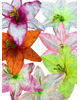 Искусственные цветы Лилии с тычинкой, атлас, микс, 170 мм