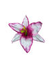 Штучні квіти Лілії з тичинкою, атлас, мікс, 170 мм