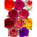 Искусственные цветы Роза открытая с листом, шелк, микс, 90 мм