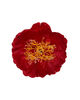 Штучні квіти Піона, шовк, мікс, 160 мм