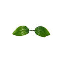 Штучний Лист подвійний зубчатий, зелений, 150 мм